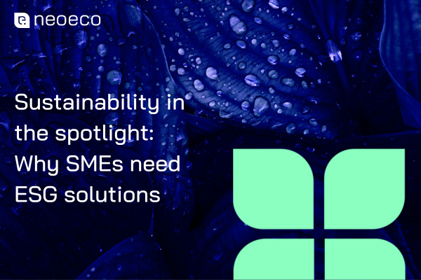 Sustainability in the Spotlight: Why SMEs need ESG Solutions
