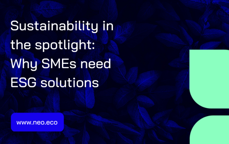 Sustainability in the Spotlight: Why SMEs Need ESG Solutions